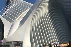 IMG_5482