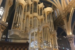 IMG_5501