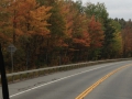 Fall Foliage 2