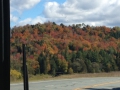Fall Foliage