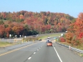 More Foliage
