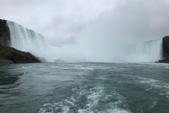 IMG_4545