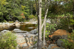 IMG_9198