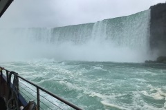 IMG_5819