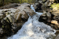 IMG-6213