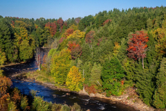 20251002_074245_564BD7