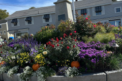 20251003_131950_5B10B0