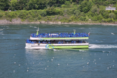 Resized_20250611_112000