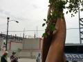 20150624_165827