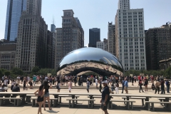 The Bean