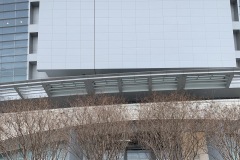 IMG_1883