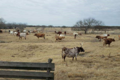 Southfork