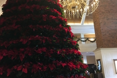 IMG_4081