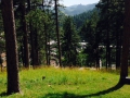 Black HIlls