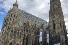 IMG_7207