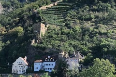 IMG_7253