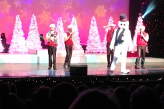 Branson Christmas Nov. 2015 007