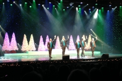 Branson Christmas Nov. 2015 009