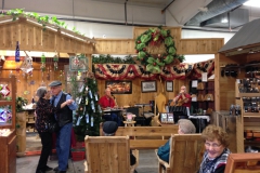 Branson Christmas Nov. 2015 013
