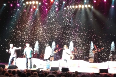 Branson Christmas Nov. 2015 014