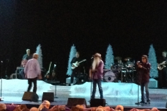 Branson Christmas Nov. 2015 015