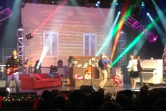 Branson Christmas Nov. 2015 018