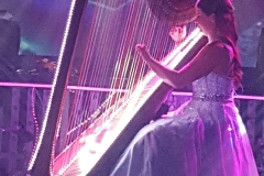 Resized952018060795210612