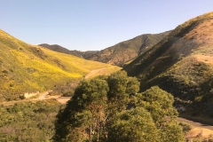image6