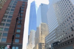 IMG_1252