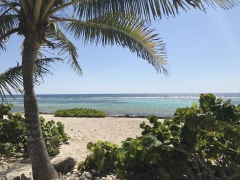 Caribbean Cruise Getaway 2018