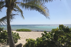 Costa Maya