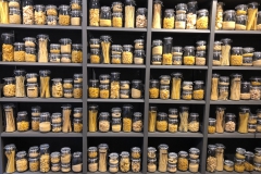 Eataly