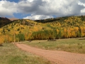photo 2 (18)