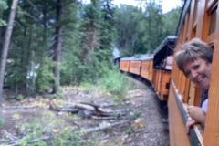 26