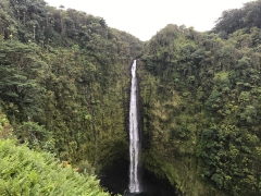 Cruising Hawaii Paradise 2017