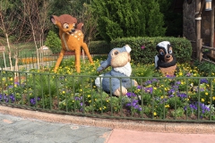 IMG_1104