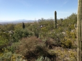 The desert is a nice break for the fridged cold!