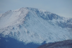 DSCN4463(1)