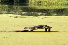 20250918_193128_62815B