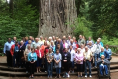 Group by tree