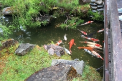 IMG_1297