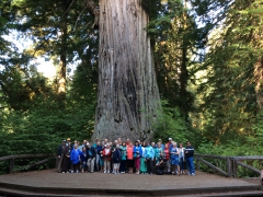 Great Pacific Coast Adventure #1