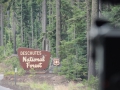 N'tl Forest