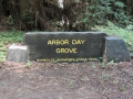 Redwood Forest, Arbor Day Grove