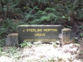 Redwood Grove named for J. Sterling Morton