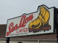 Sea Lions Cave Entrance