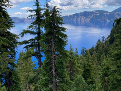 Great Pacific Coast Adventure 2 2025