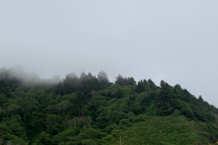 E46158D8-8190-4778-82A3-D44E2FF870C9