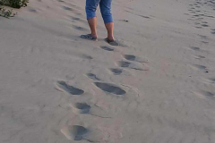 Resized952022071795204935