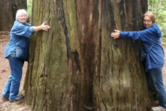 Resized_20220721_084022